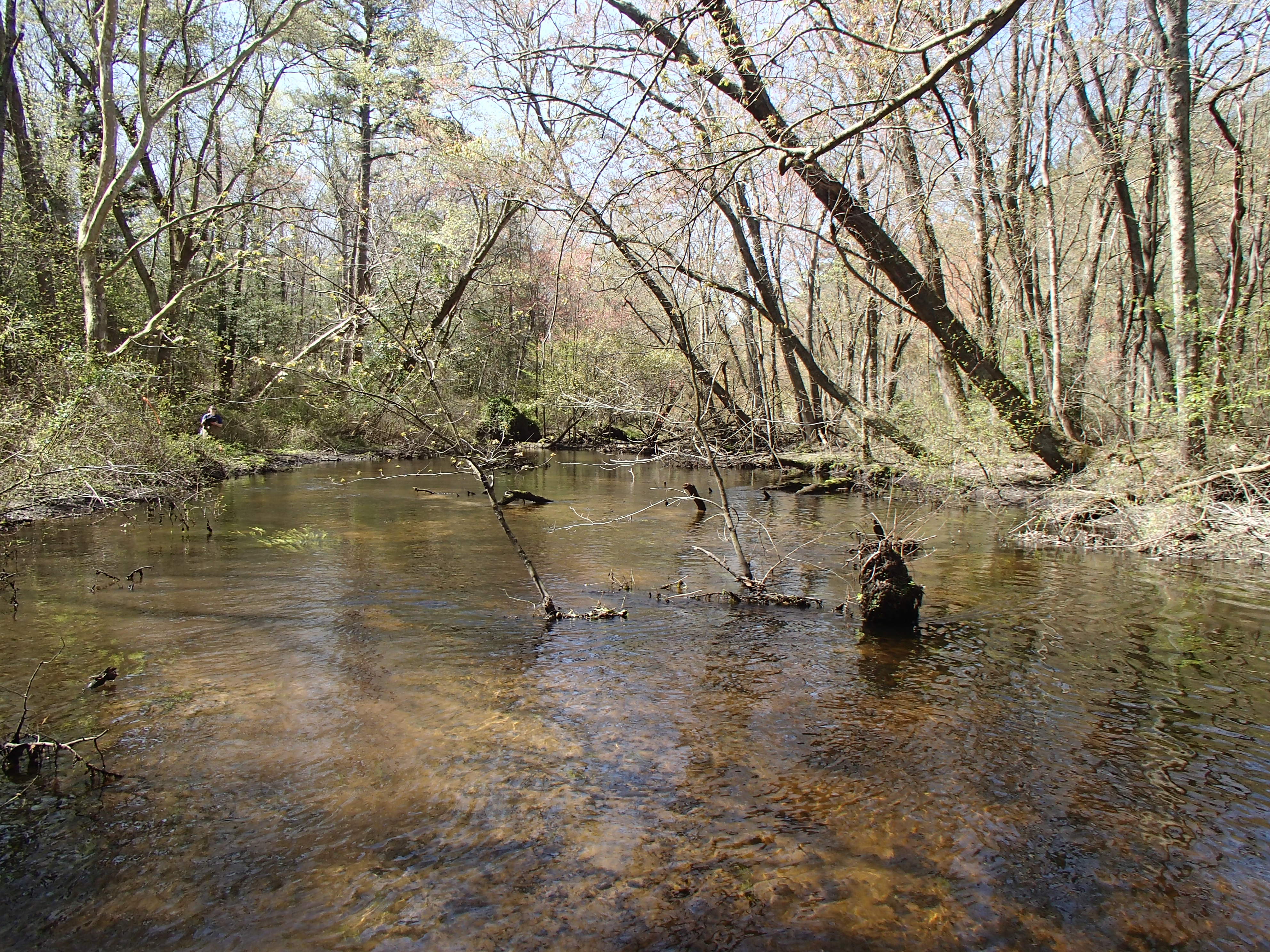 Field photo showing stream conditions at site WIRH-220-S-2016_midpoint looking downstream